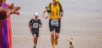 Perra callejera se convierte en compañera inseparable de maratonista